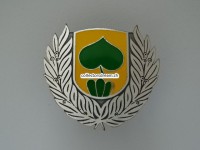 Mützenabzeichen aus Metall, ehemalige Gemeindepolizei Niederlenz/AG