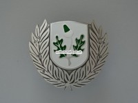 Mützenabzeichen aus Metall, ehemalige Gemeindepolizei Würenlingen/AG