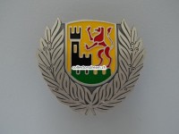 Mützen Abzeichen aus Metall, ehemalige Polizei Windisch