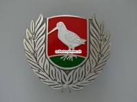 Mützen Abzeichen aus Metall, ehemalige Polizei Boniswil
