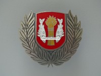 Mützen Abzeichen aus Metall, Polizei Rorschach / SG