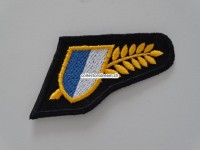 Patch / Stoffabzeichen Kapo Luzern