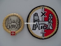 Beret Abzeichen / Emblem und Stoffabzeichen / Patch. Territorialbrigade 10, Offizier