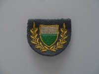 Patch / Stoffabzeichen Gendarmerie Vaud