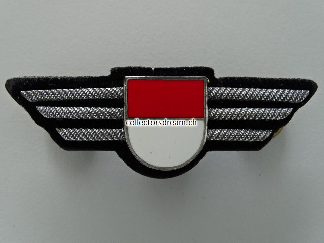 Metall Brustflügel Kapo Solothurn