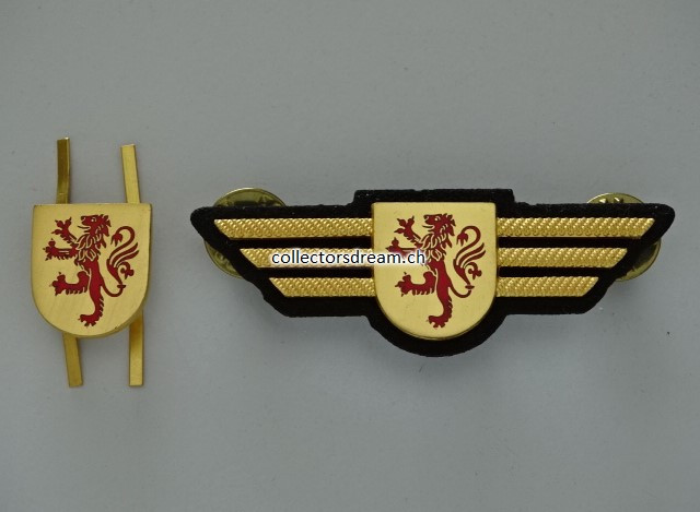 Metall Brustflügel & kleinem Metall Mützenabzeichen Gemeindepolizei