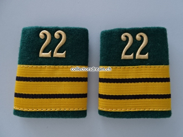 Infanterie Oberst Schulterschlaufen "Patten"