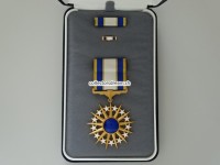 Air Force Distinguished Service Medal Verdienstorden