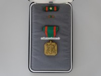 US-Navy Achievement Medal Verdienstorden