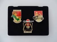 Pin Set Solothurn