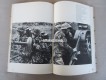 Buch, Geschichte der Waffe