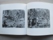 Buch: Schaffhauser Milizen gestern und heute
