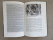 Buch, Ledernacken, Das US Marine Corps