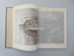 Buch " Unser Bismarck ", orig. Gedächtnis-Ausgabe von 1898