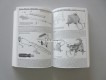 Fachbuch, The U.S. .30 Caliber SeJerry Kuhnhausenrvice Rifles, Volumes I & II, 
