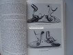 Buch, Early Percussion Firearms