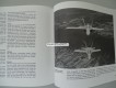 Buch, F/A-18 Hornet Flugzeuge die Geschichte machten