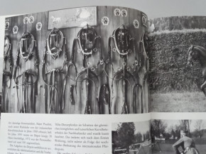 Buch Der Eidgenoss Die Geschichte der Schweizer Kavallerie