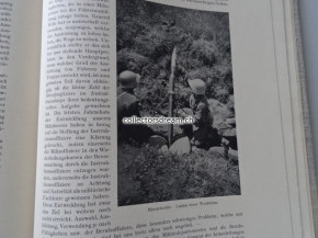 Buch Hundert Jahre Schweizer Wehrmacht von Oberst i. Gst. Dr. Feldmann Ausgabe 1935