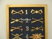 Mustertafel mit Abzeichen Ord. 1869/75 & 1898