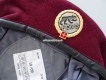 Beret Schweizer Armee Transporttruppen Territorialdienst Offizier