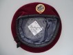 Beret Schweizer Armee Transporttruppen Territorialdienst Offizier