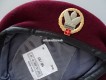 Beret Schweizer Armee Transporttruppen Territorialdienst Offizier