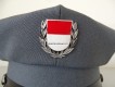 Schirmmütze, Kapo Solothurn