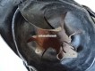 Kavallerie Dragoner Raupenhelm Ord. 1852 Solothurn
