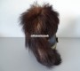 Kavallerie Dragoner Raupenhelm Ord. 1852 Solothurn