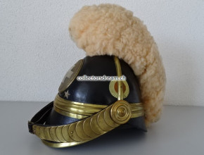 Raupenhelm Guide Kavallerie eidg. Ord. 1852 Solothurn