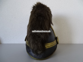 Kavallerie Dragoner Raupenhelm Ord. 1852 Bern