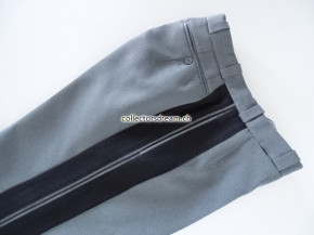 Hose höherer Stabsoffizier Brigadier - Divisionär - Korpskdt.