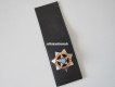 Metall Badge im Lederetui, San Jose, Public Safety, California