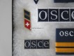 Schlaufen und Abzeichen Set " OSCE "