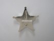 Metall Badge, Special Ranger, Texas and Southwestern Cattleraisers Assn