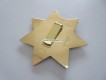 Metall Badge, Officer, Grand Traverse Band, Law Enforcement, State of Michigan