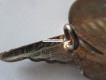 Beret Metallabzeichen Militär, Parachute, Insigne militaire