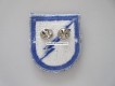 Beret Abzeichen US Army