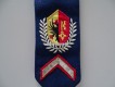 alte Schulterklappe, Police Genève / Genf