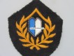 altes Stoffabzeichen, Polizei Luzern