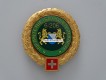 Beret Abzeichen und Stoffabzeichen / Patch. Infanterieschulen Zürich 6/206, Offizier