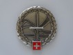 Beret Abzeichen / Emblem, Brusttaschen Anhänger, Stoffabzeichen / Patch. Einsatz Heer, Ord. 2004