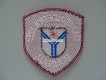 Patch / Stoffabzeichen Gemeindepolizei Bonaduz