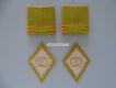 Patten / Schlaufen Paar Oberleutnant AC Schutzdienst