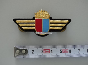 Feuerwehr Inspektor Brustflügeli Ticino - Tessin