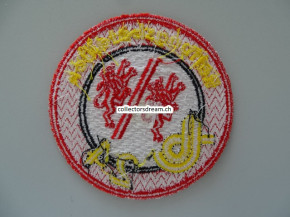 Patch / Stoffabzeichen Schweizer Armee Rettungsbataillon 24