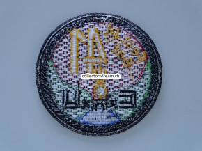 Patch / Stoffabzeichen Schweizer Armee Fest Pi Bat 41