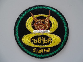 Patch / Stoffabzeichen Schweizer Armee Rdf Bat 8 Rdf Kp I/8, grüner Rand