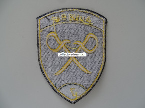 Patch / Stoffabzeichen Schweizer Armee Aufkl Bat 7 grün